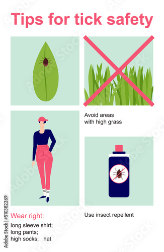 Tips for tick safety infographic. How to protect skin from insect. Brown parasite, risk of disease. Isolated vector illustration