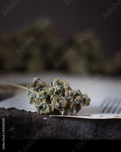 Wallpaper Mural Cannabis buds dried and trimmed. Marijuana buds photographed in natural light. Close up with lots of detail.  Torontodigital.ca