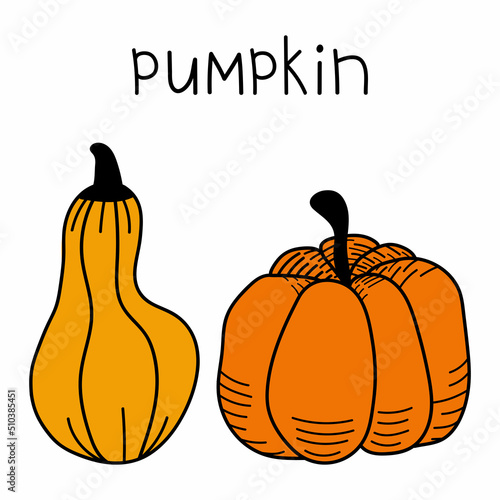 Isolated doodle pumpkin. Vector icons, hand-drawn pumpkin stickers. Summer harvest illustration, thanksgiving, halloween