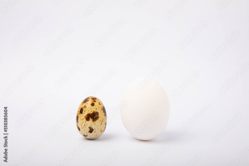 Quail eggs isolated on white background.Organic food. Quail eggs isolated on white background.Organic food.