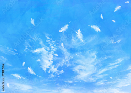 青空に舞う天使の羽