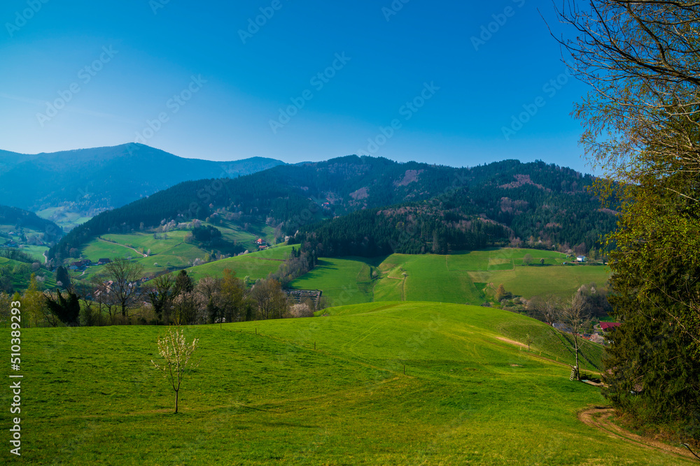 Germany, Schwarzwald tourism region, houses in valley surrounded by tree covered mountains in springtime on sunny day, panorama view