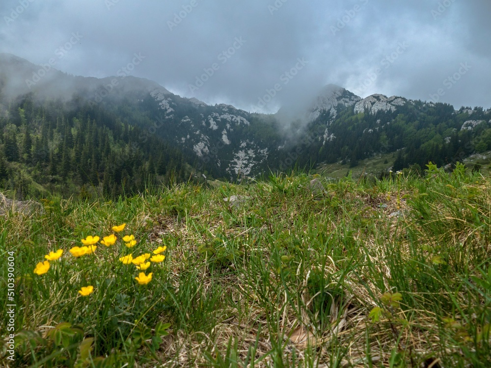 Obraz premium mountain