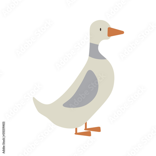farm gray goose. Isolated vector illustration Icon for web. EPS