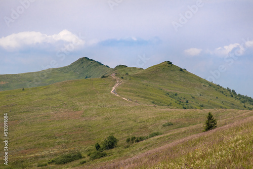 Fototapeta Naklejka Na Ścianę i Meble -  Landscape of the beautiful Polish mountains of the Bieszczady Mountains, part of the Carpathians. Dreamlike mountains, a symbol of freedom and independence. A place for many artists.Mountain landscape
