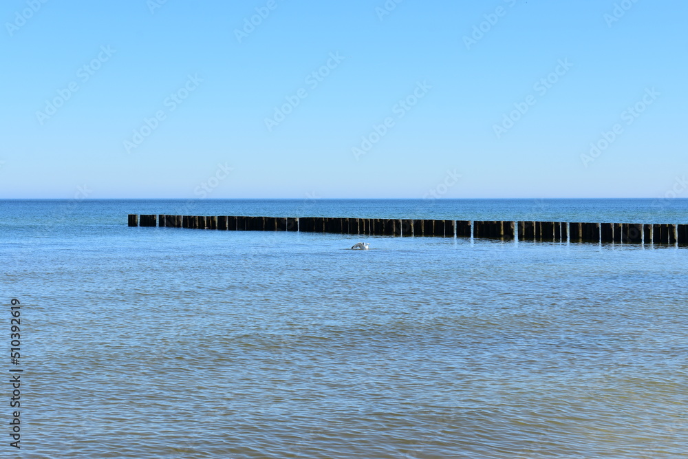 Ostsee - Polen - Wasser - Vögel - Holzstämme - Strand Ostsee - Polen - Wasser - Vögel - Holzstämme - Strand