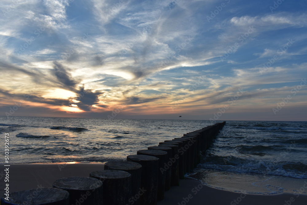 Ostsee - Polen - Wasser - Vögel - Holzstämme - Strand Ostsee - Polen - Wasser - Vögel - Holzstämme - Strand