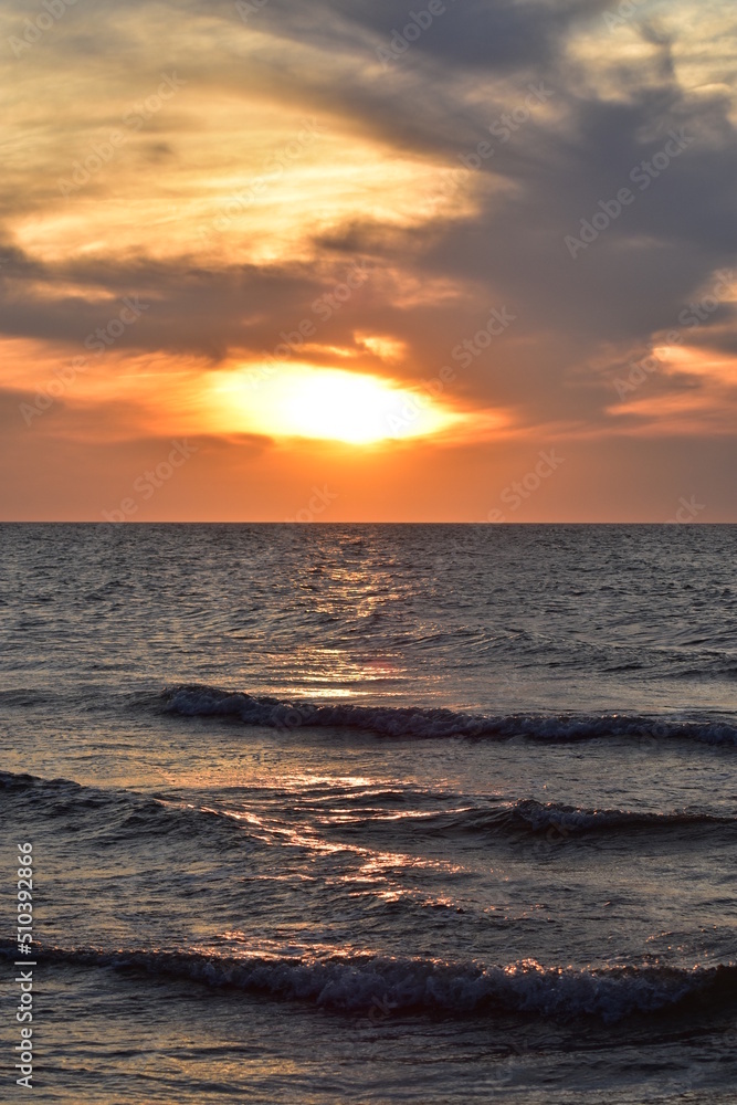 Ostsee - Polen - Wasser - Vögel - Holzstämme - Strand