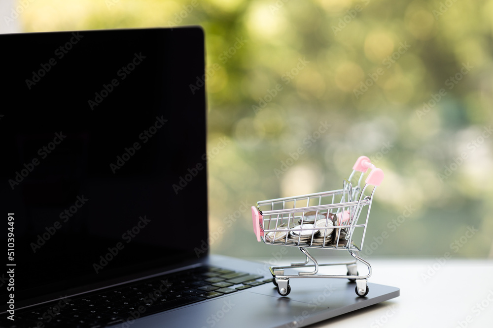 Small shopping cart with a coins on laptop