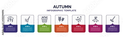 infographic template with icons and 7 options or steps. infographic for autumn concept. included storm, broom, picnic basket, rye, wind, rowan, rake icons.