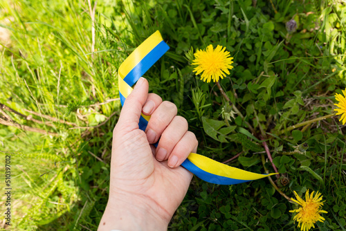 symbol of ukraine in a female hand on a background of green grass. struggle for freedom in Ukraine. yellow and blue ribbon of the flag of ukraine