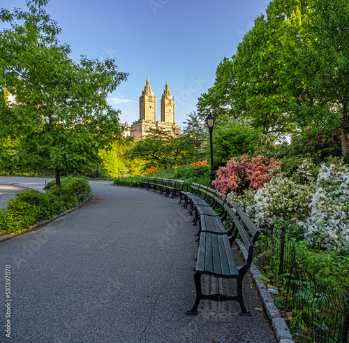 Photography Central Park in spring