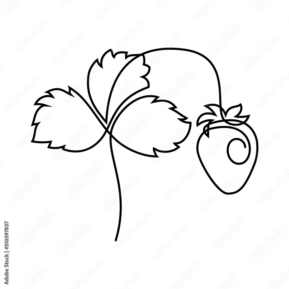 Strawberry plant in continuous line art drawing style. Strawberry fruit