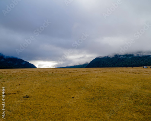New zeland melford sound 