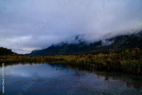 New zeland melford sound 