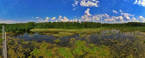 Panorama from the drone to the backwater of the Wyzary Sianozatko