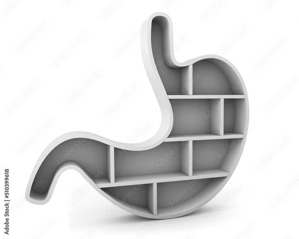 Stomach shelf side view isolated on white background. Organ shelf. 3d
