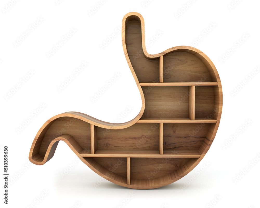 Stomach wooden shelf front isolated on white background. Organ wooden