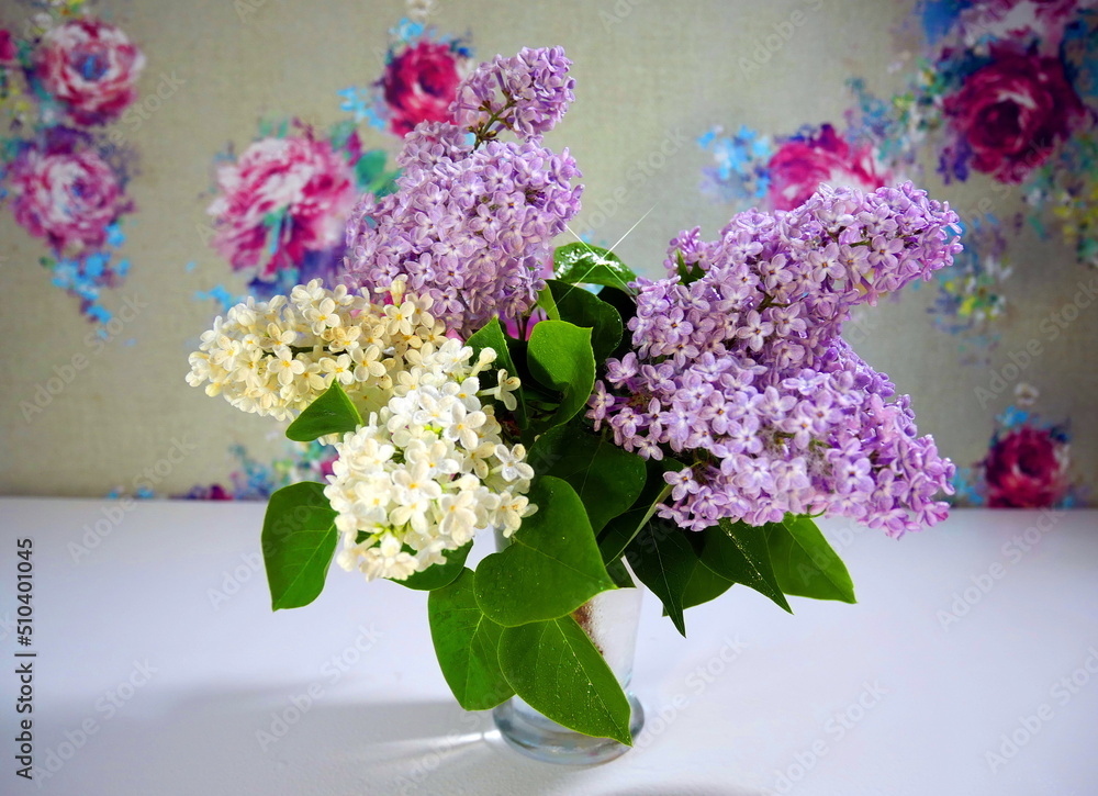 Lilac twigs in a vase. Spring lilac blooms Lilac twigs in a vase. Spring lilac blooms