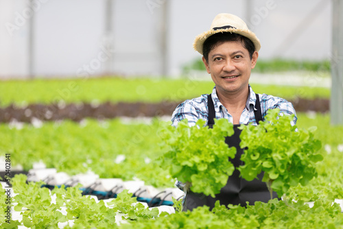 senior farmer smiling and holding organic vegetables in hydroponic farm