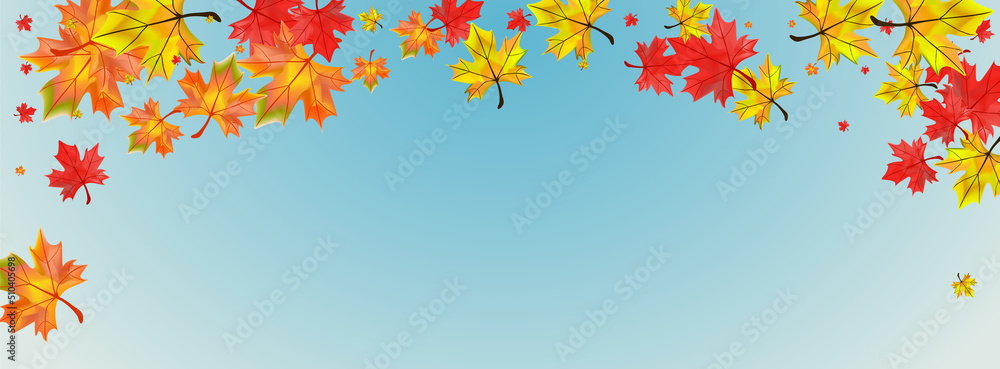 Brown Plant Background Blue Vector. Leaves Isolated Card. Red Flying Foliage. Beautiful Floral Template.
