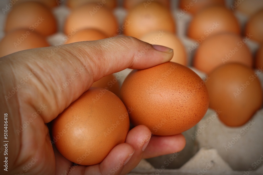 Chicken eggs are nutritious and can be used in a variety of dishes, when inflation makes eggs expensive. Chicken eggs are nutritious and can be used in a variety of dishes, when inflation makes eggs expensive.