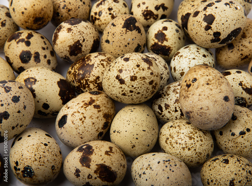 Quail eggs background.Organic food. Place for text. Fresh quail eggs.