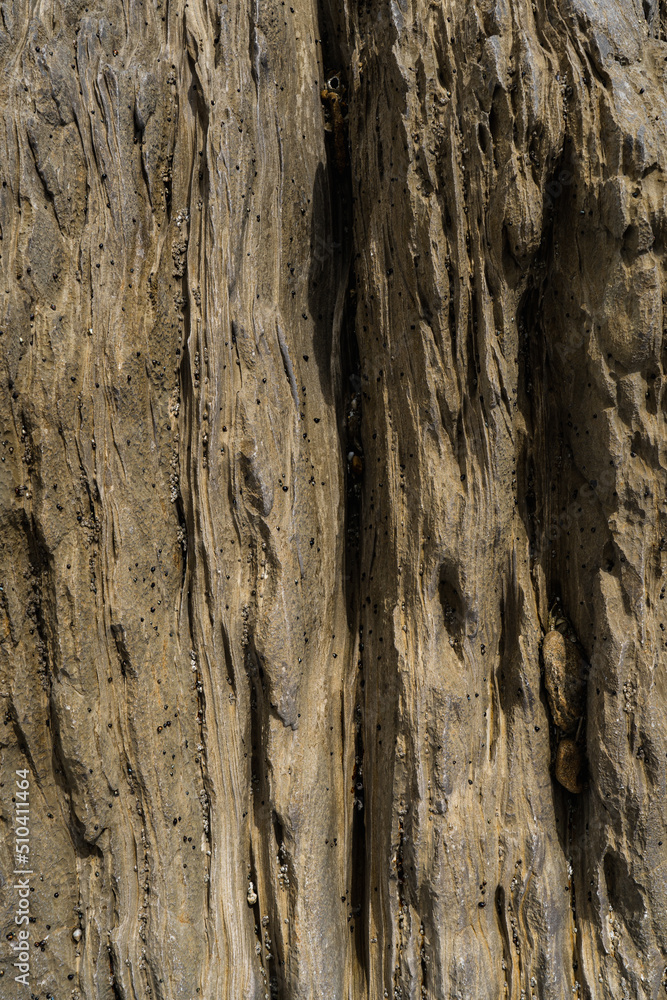 Texture of stone eroded by water over the years. Texture of stone eroded by water over the years.