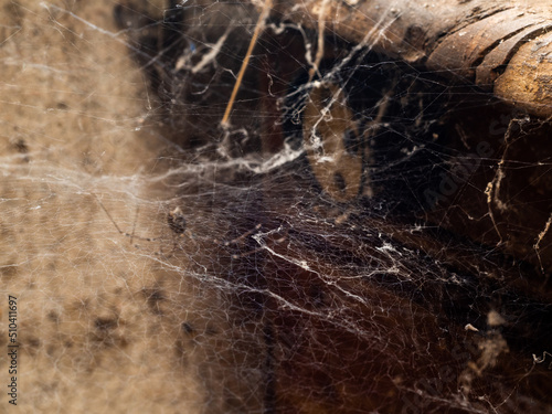 Spider's web in an abandoned building in europe photo