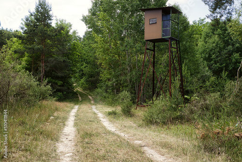 Hochsitz- Waldweg