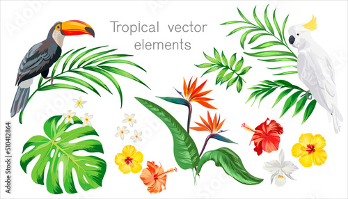 Tropical vector set for summer beach design. Isolated elements on a white background. Palm leaves, exotic flowes, birds of paradise.