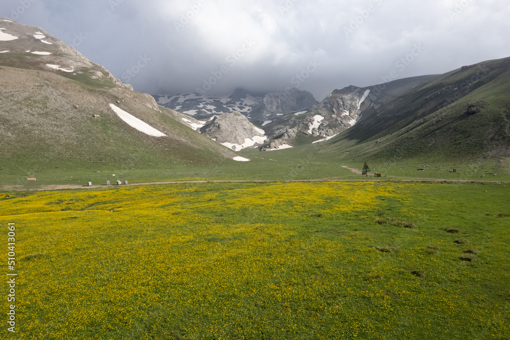 Green meadow among snowy mountains