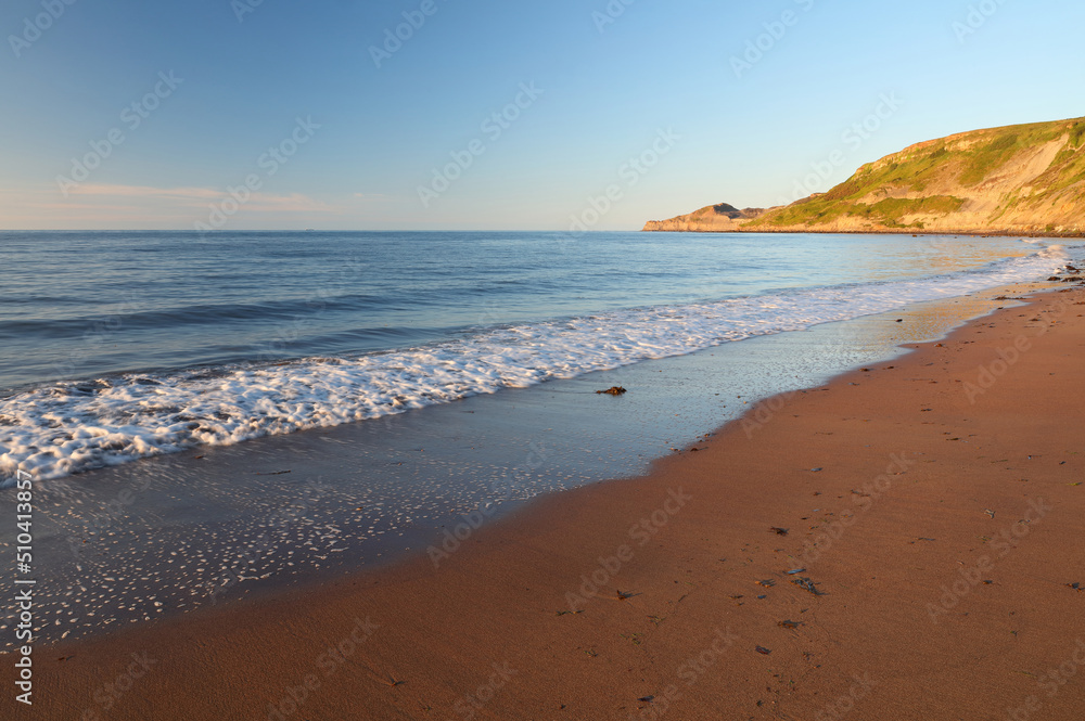 Lonely Beech at Runswick Bay on a Sunny Day, North Yorkshire, England, UK.