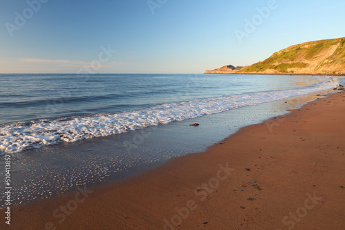 Lonely Beech at Runswick Bay on a Sunny Day, North Yorkshire, England, UK.