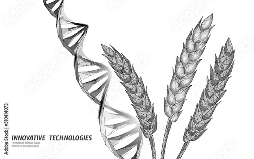 GMO wheat gene modified plant. Science chemistry biology genetics engineering innovation organic eco food technology 3D render banner vector illustration