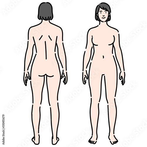 裸の若い女性の全身のセット