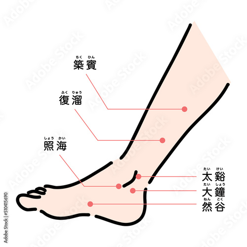 ふくらはぎ、足のツボ