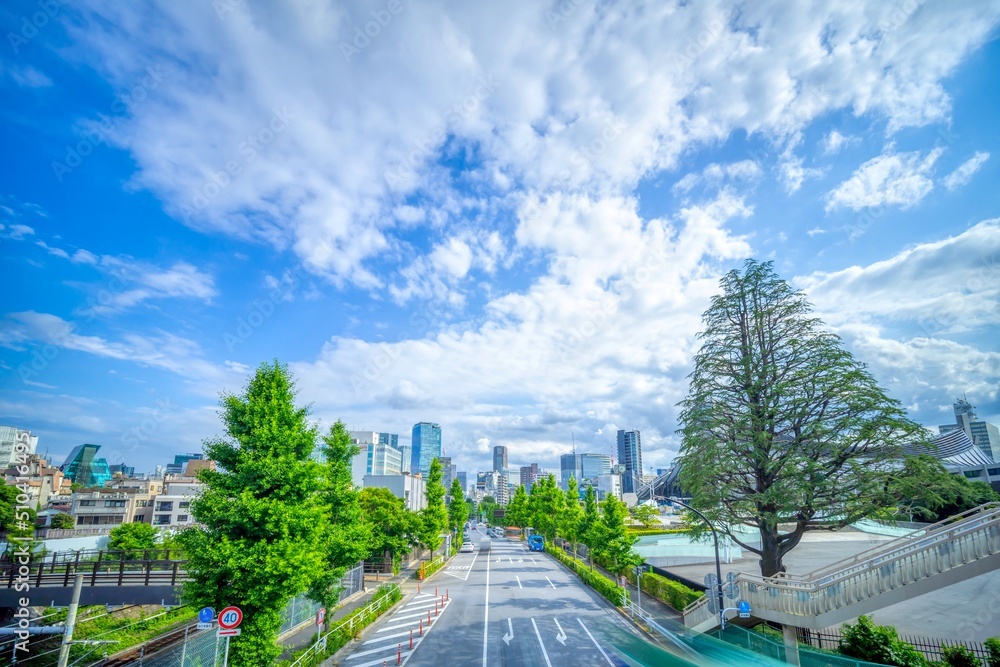 Fototapeta premium 東京 2022 渋谷 ファイヤー通り