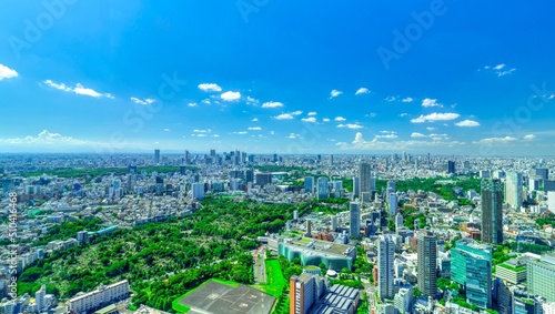 東京風景　初夏