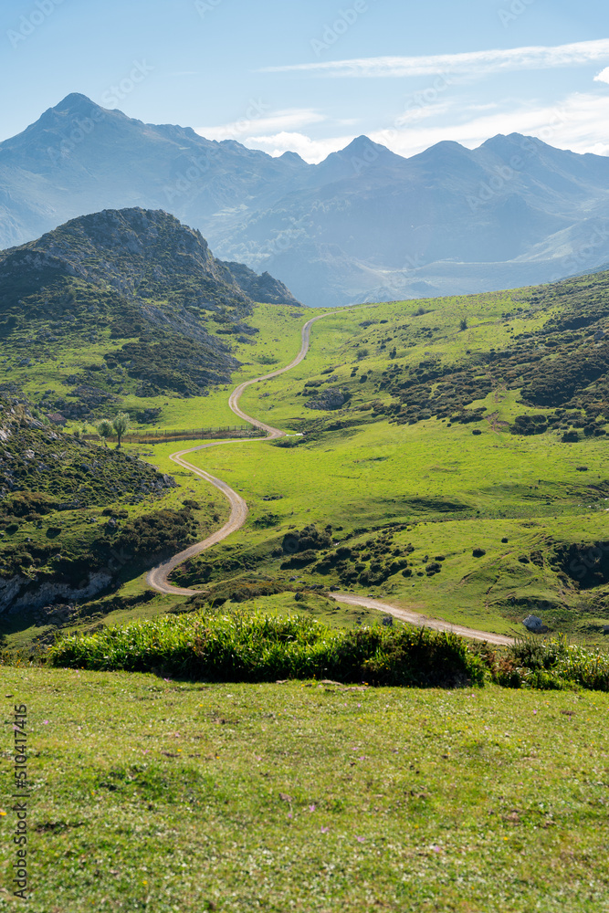 beautiful landscape of green meadows with a winding road and mountains in the background