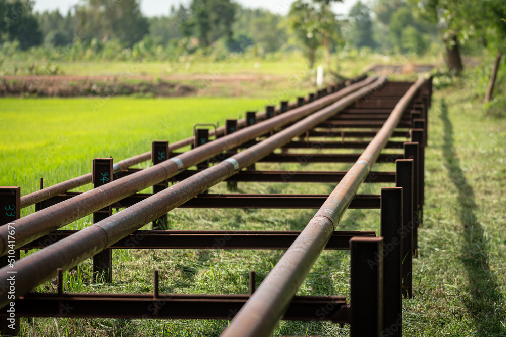 Crude oil transfer piping line which is locateed in local area. Industrial equipment structure photo. Selective focus at some piping part. Crude oil transfer piping line which is locateed in local area. Industrial equipment structure photo. Selective focus at some piping part.