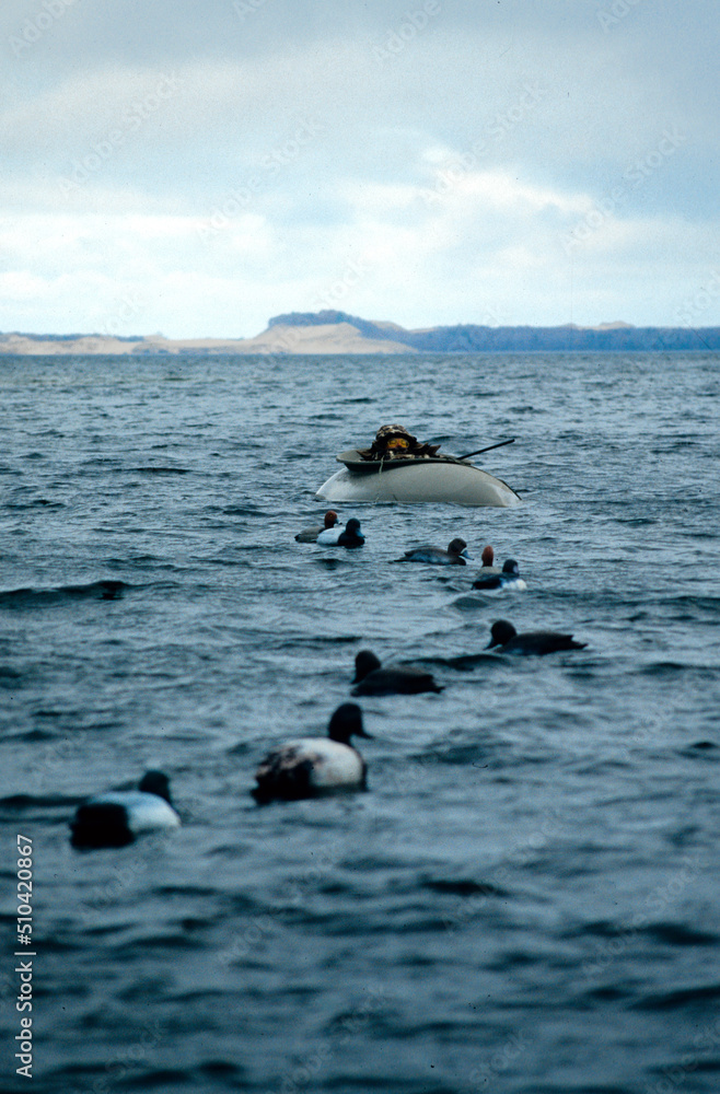 Fototapeta premium A waterfowl hunter in a layout boat
