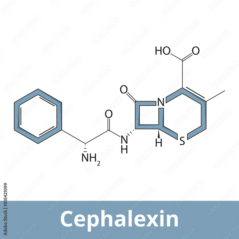 Chemical structure of cephalexin (cefalexin). It is an antibiotic that