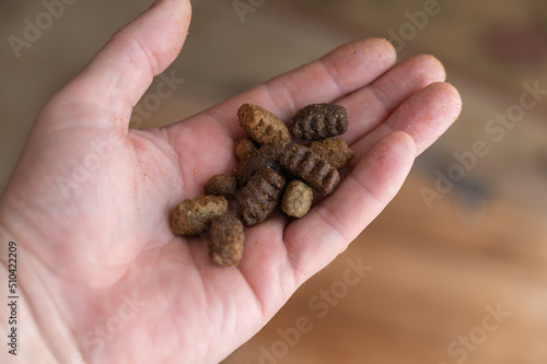Dog food in my hand. Pellets of dry pet food lie in the open palm of a middle-aged man. A first-person view. Selective Focus.