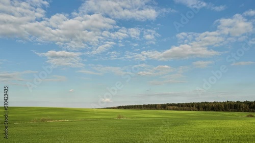 slow motion of clouds on a sunny summer day over an agricultural field and forest. A beautiful hilly field with sprouted young wheat. Timelapse of clouds 