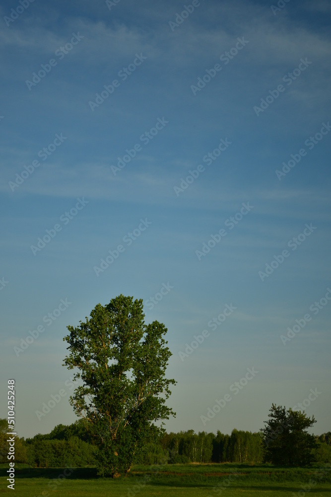 Obraz premium Nature - Sky