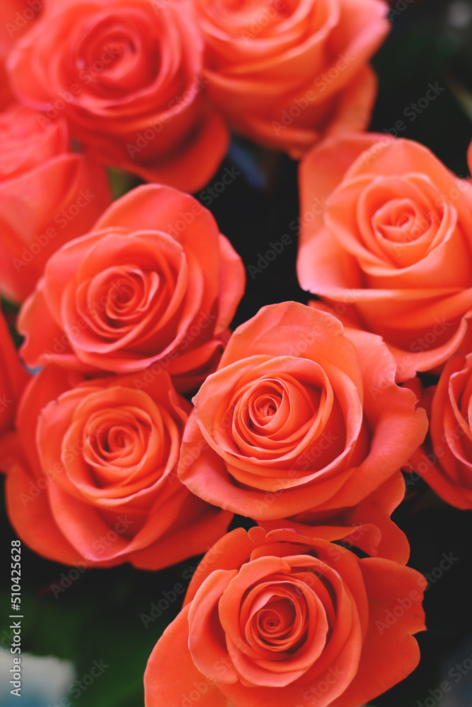 Salmon color rose bouquet Salmon color rose bouquet