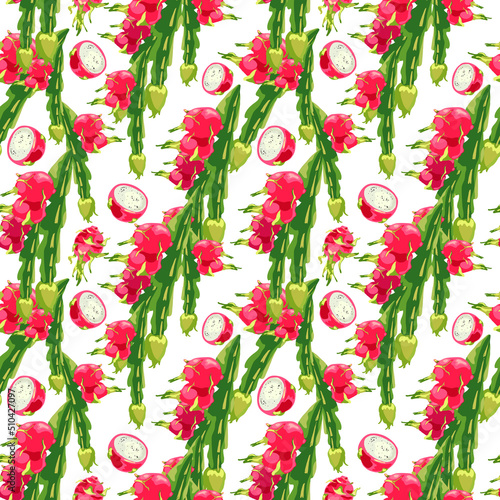 721_dragon fruit plant_dragon fruit seamless pattern of tropical plants, leaves pitaya cactus, exotic vector pattern, Dragon Fruit, Hylocereus, Pitahaya, Pitahaya, Hand drawn pitahaya stem illustratio