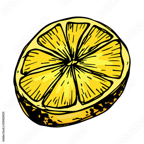 Vector lemon clipart. Hand drawn citrus icon. Fruit illustration. For print, web, design, decor, logo.