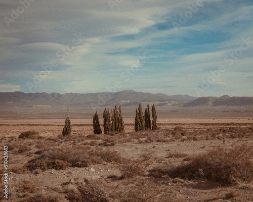 CORDILLERA